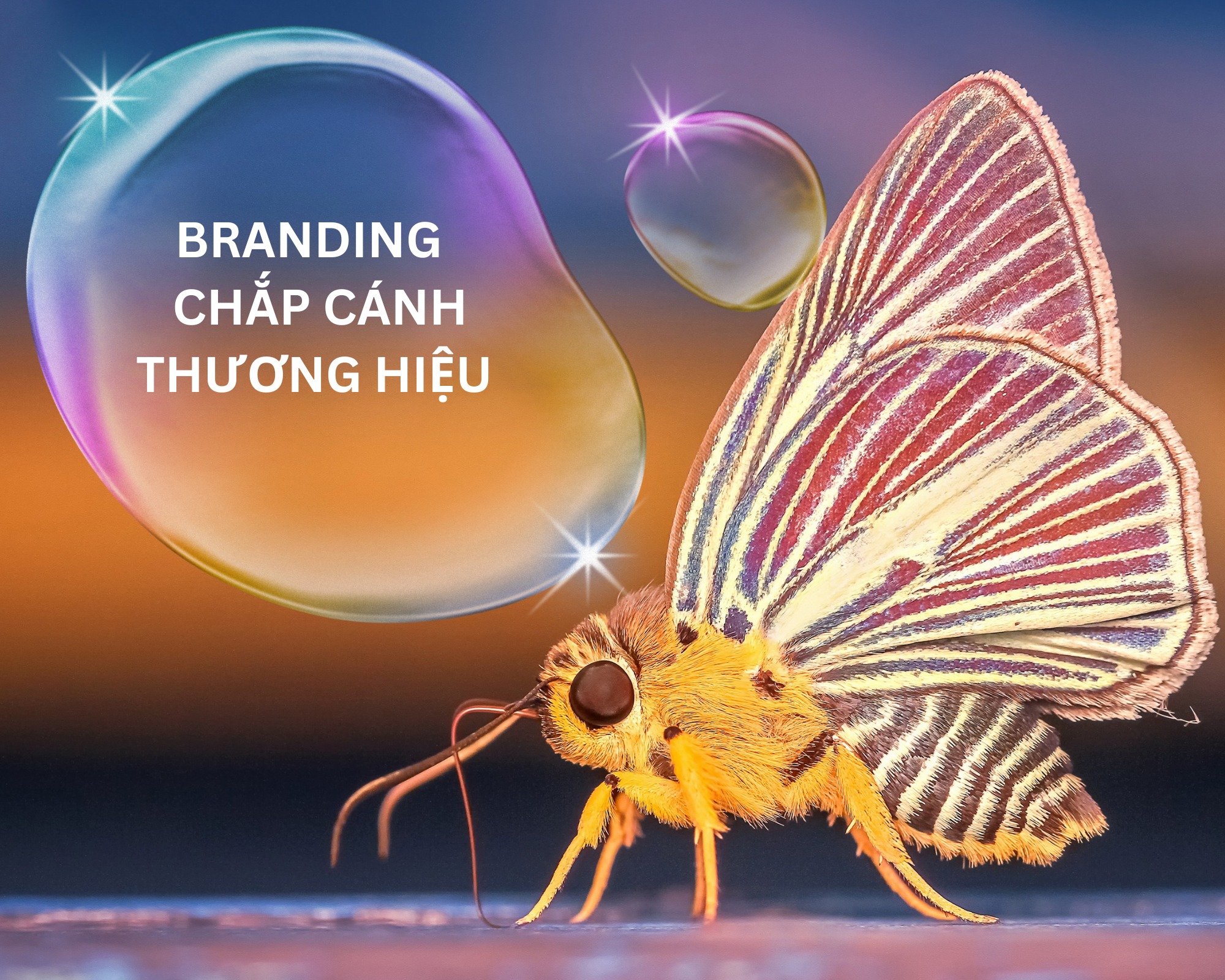 Đừng bao giờ xem nhẹ BRANDING trong kinh doanh